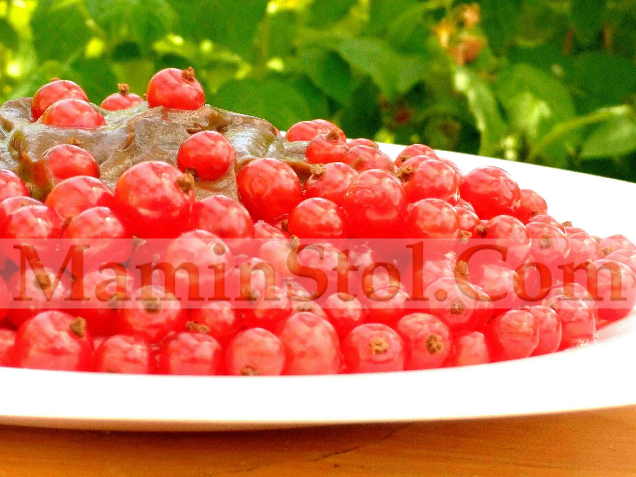 Красная смородина с шоколадным кремом